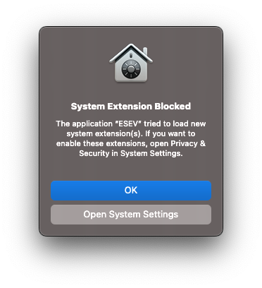 Blocked System Extension